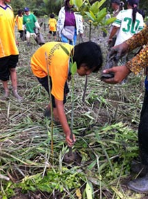 タイ・ラノーン県での植樹活動