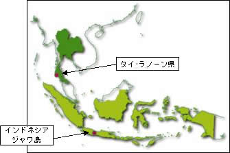 マングローブ植樹地図 タイ・ラノーン県、インドネシア・ジャワ島