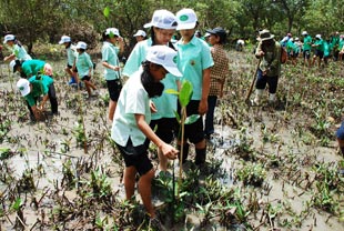 写真：タイ・ラノーン県での植樹活動