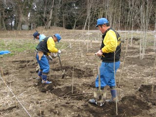 植樹の様子(白河関の森公園)