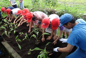 小学校での植栽の様子