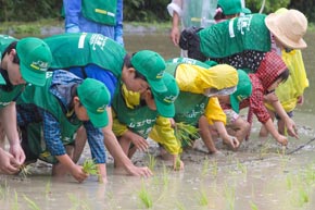 孟子不動谷生物多様性活性化プロジェクト(和歌山)