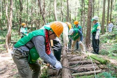 愛知県・「人と自然との共生を目指した森づくり活動(間伐)」の様子