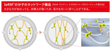 SeRMの分子のネットワーク構造