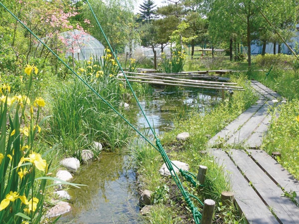 The Shirakawa Factory was chosen to receive the “11th Green Society Contributor Award”