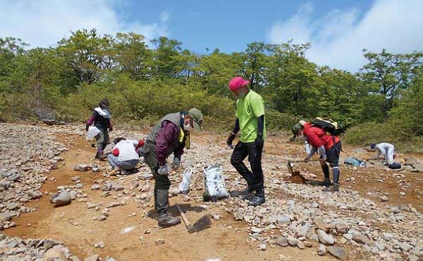Tree Planting Activities in Mount Akazura