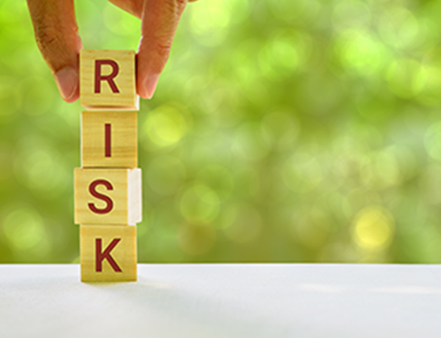 Risks and Opportunities
