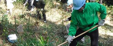 Natural Capital