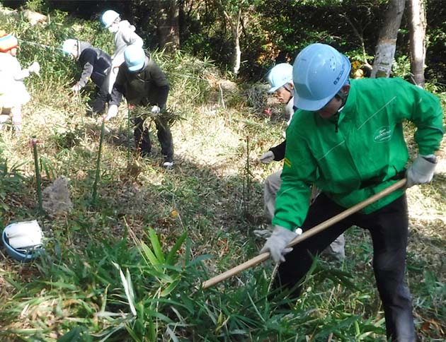 Natural Capital