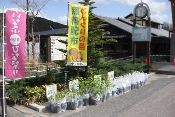 どんぐりの苗木の無人無料提供2