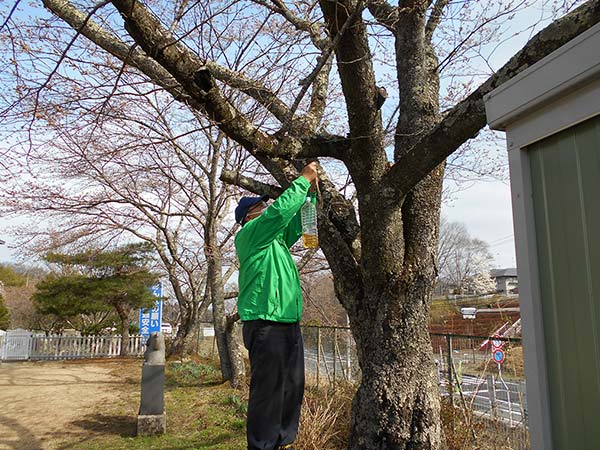 市内幼稚園へ蜂誘引器を設置